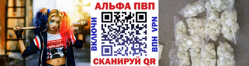 A PVP СК КРИС  Сыктывкар 