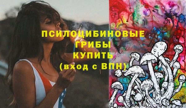 дурь Верея