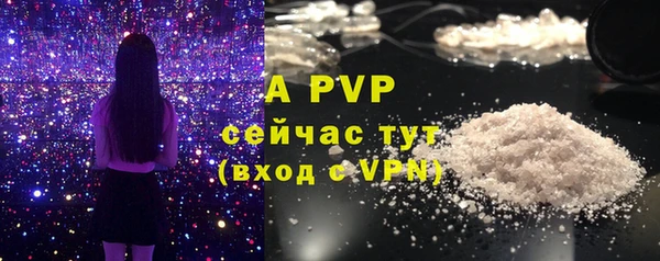 дурь Верея