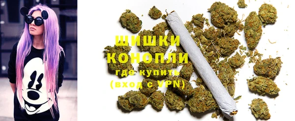 дурь Верея